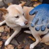Перчатка для вычесывания шерсти True Touch, Тру Тач, Pet Glove