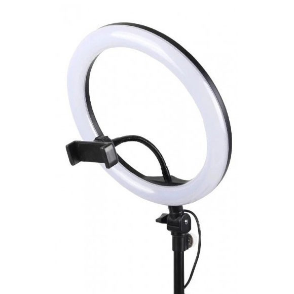 Кольцевая LED лампа RGB MJ26 + штатив (26см) (1 крепление) (управление на проводе)