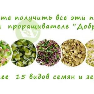 Автоматический проращиватель семян ДоброСад (с таймером)