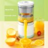 Соковыжималка для ягод и фруктов LY-9