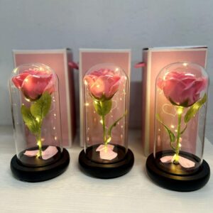 Роза в колбе под стеклянным куполом стабилизированный цветок Pink с подсветкой Большая