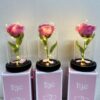 Роза в колбе под стеклянным куполом стабилизированный цветок Pink с подсветкой Большая