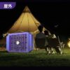 Электрическая лампа от комаров Electric Shock Mosquito Lamp BG-009 Антимоскина лампа от насекомых
