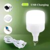 Лампа для кемпинга на крючке аккумуляторная с зарядкой Micro USB Solar BL HY-701 10W