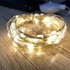 Гирлянда проволока музыкальная USB теплый белый 10м SF-3