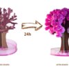 Волшебное растущее дерево из бумаги Сакура Magic Sakura Искусственный цветок сакуры