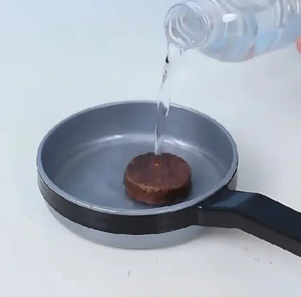 Набор для опытов домашняя теплица Home made plant Игровой набор теплица для выращивания растений с семенами