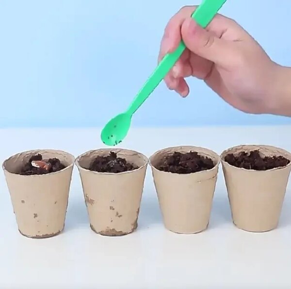 Набор для опытов домашняя теплица Home made plant Игровой набор теплица для выращивания растений с семенами