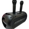 Портативная Bluetooth колонка ZQS4247 16Вт с 2 микрофонами караоке USB TF FM AUX