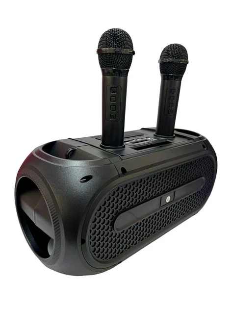 Портативная Bluetooth колонка ZQS4247 16Вт с 2 микрофонами караоке USB TF FM AUX