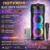 Портативная Bluetooth колонка 2х6.5" с проводным микрофоном и пультом ДУ JQS6221 30W