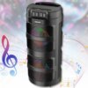 Портативная Bluetooth колонка 2х4" с RGB подсветкой и поддержкой TWS ZQS2401 10W