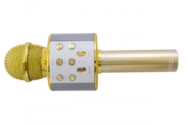 УЦЕНКА! Микрофон караоке WSTER ART: WS-858 Bluetooth USB AUX FM GOLD (Ржавчина на корпусе 2385)