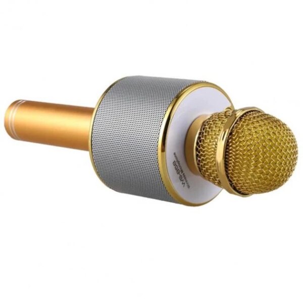 УЦЕНКА! Микрофон караоке WSTER ART: WS-858 Bluetooth USB AUX FM GOLD (Ржавчина на корпусе 2385)