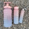 Бутылка для воды 3 в 1 Bottle AND264 Розово-голубая Комплект из 3 спортивных бутылок для воды