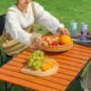Складной туристический прямоугольный стол 95х55х50 см с чехлом Коричневый