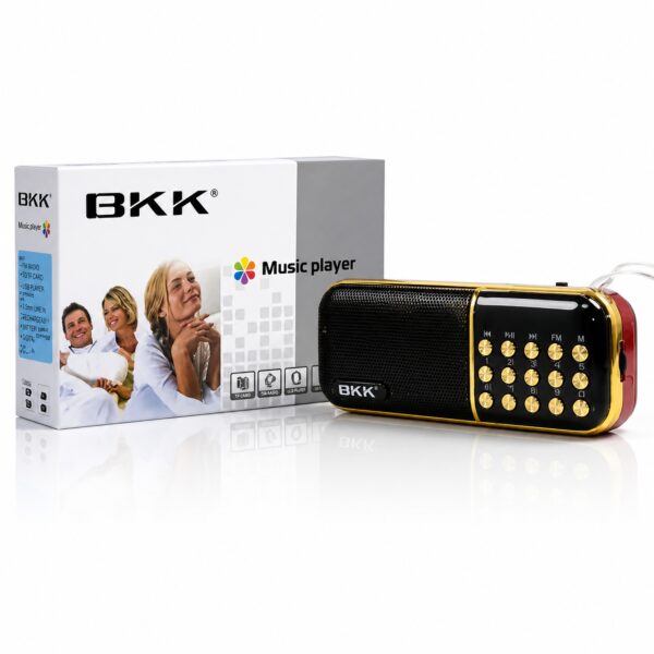 Портативный FM-радиоприемник колонка с цифровым тюнером BKK USB/MP3 B851