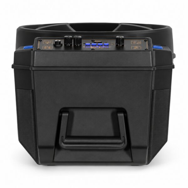 Портативная колонка Ailiang KOLAV-120E Bluetooth 12 дюймов 20 Вт