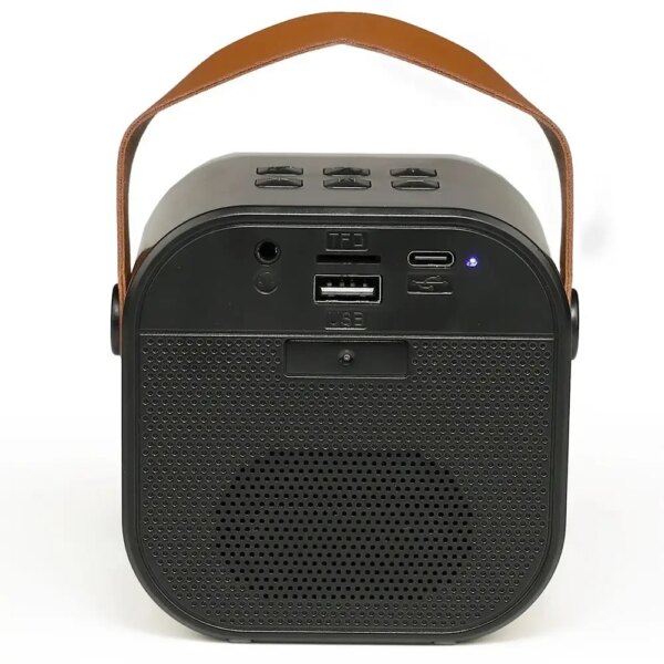 Караоке-система K12 с двумя микрофонами, Bluetooth, черная