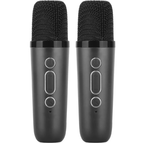 Караоке-система K12 с двумя микрофонами, Bluetooth, черная