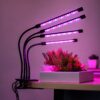 Светодиодная фитолампа с таймером, 4 головки, от USB, 40 Вт / Гибкий фитосветильник для растений