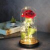 Роза в колбе с LED подсветкой 20 см, Красная, на батарейках / Ночник Вечная роза / Цветок в колбе