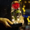 Роза в колбе с LED подсветкой 20 см, Красная, на батарейках / Ночник Вечная роза / Цветок в колбе