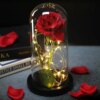 Роза в колбе с LED подсветкой 20 см, Красная, на батарейках / Ночник Вечная роза / Цветок в колбе