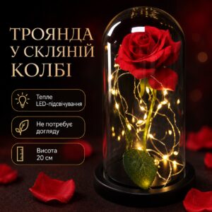 Роза в колбе с LED подсветкой 20 см, Красная, на батарейках / Ночник Вечная роза / Цветок в колбе