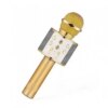 УЦЕНКА! Микрофон WSTER WS-858 Bluetooth USB AUX FM GOLD (Плохая упаковка, ржавчина на корпусе 3697)