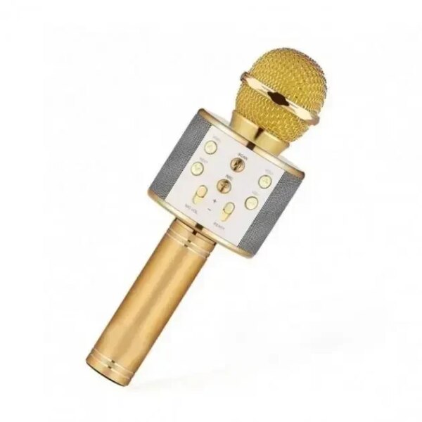 УЦЕНКА! Микрофон WSTER WS-858 Bluetooth USB AUX FM GOLD (Плохая упаковка, ржавчина на корпусе 3697)