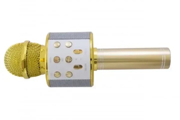 УЦЕНКА! Микрофон WSTER WS-858 Bluetooth USB AUX FM GOLD (Плохая упаковка, ржавчина на корпусе 3697)