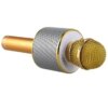 УЦЕНКА! Микрофон WSTER WS-858 Bluetooth USB AUX FM GOLD (Плохая упаковка, ржавчина на корпусе 3697)