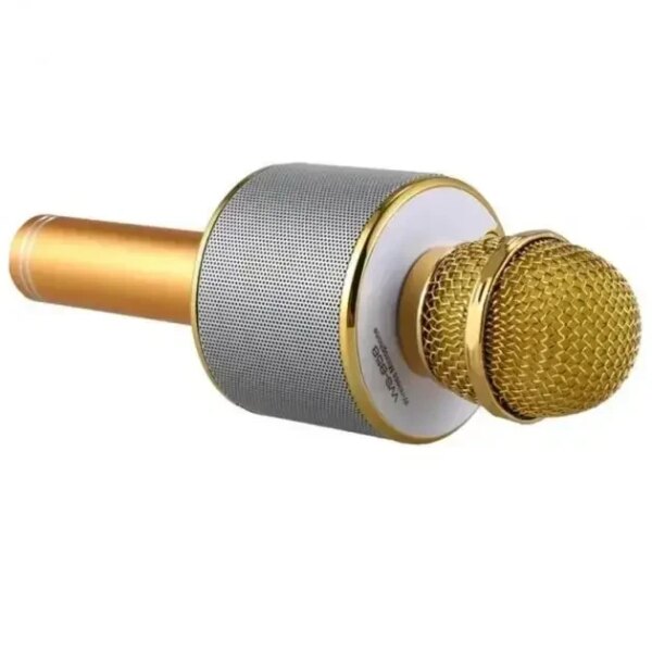 УЦЕНКА! Микрофон WSTER WS-858 Bluetooth USB AUX FM GOLD (Плохая упаковка, ржавчина на корпусе 3697)