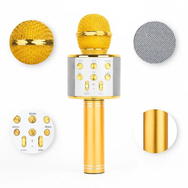 УЦЕНКА! Микрофон WSTER WS-858 Bluetooth USB AUX FM GOLD (Плохая упаковка, ржавчина на корпусе 3697)