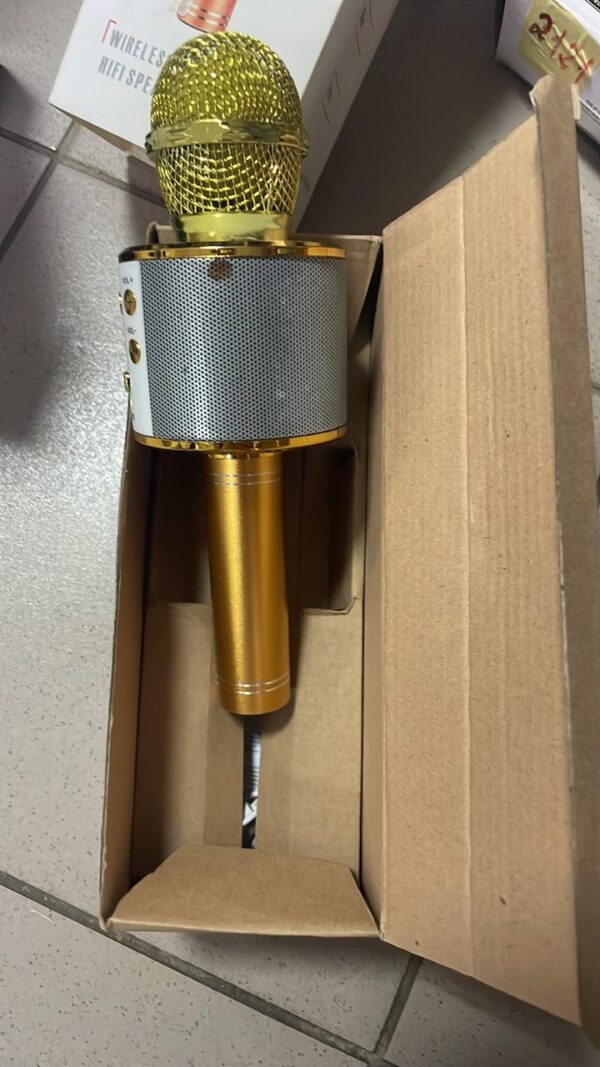УЦЕНКА! Микрофон WSTER WS-858 Bluetooth USB AUX FM GOLD (Плохая упаковка, ржавчина на корпусе 3697)